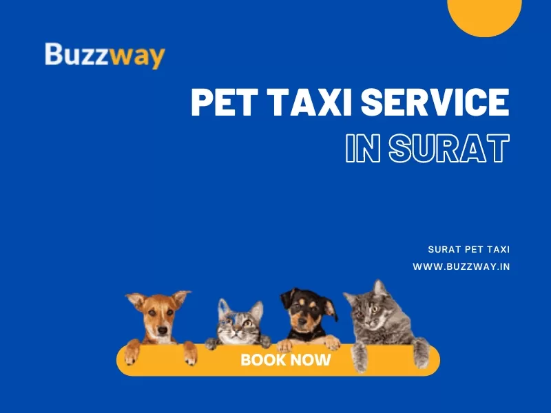Surat Pet Taxi- Pet Friendly Taxi Service Surat